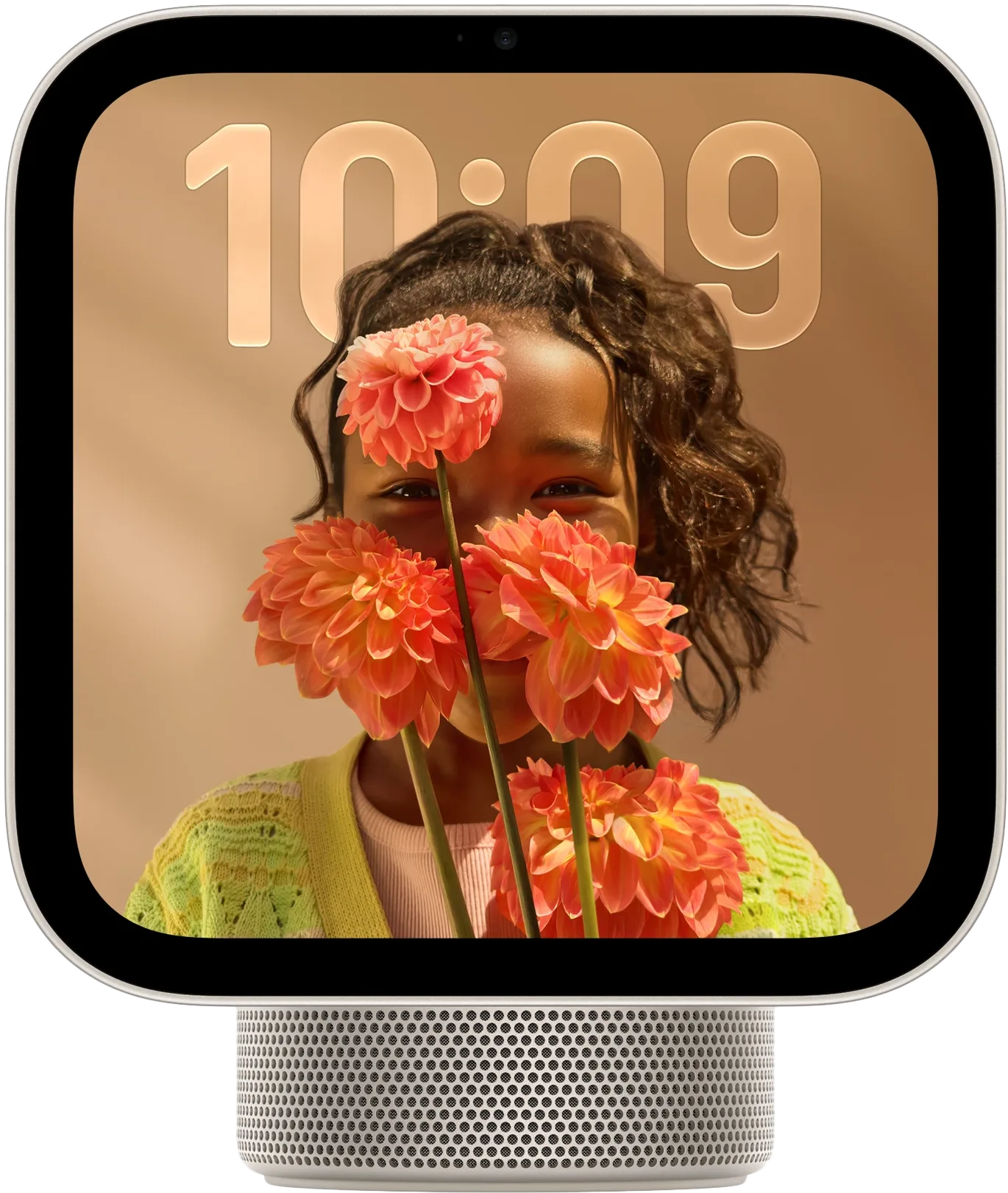 Apple HomeView